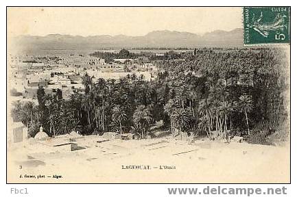 CPA Laghouat - L'Oasis (Editeur Geiser N°3)