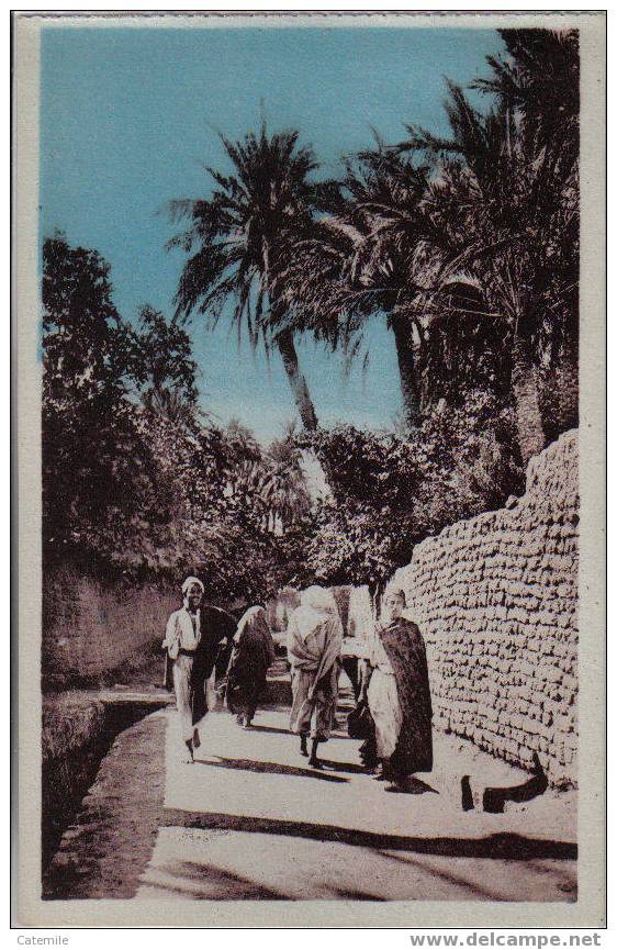 300, LAGHOUAT, Rue de la Grande Séguia