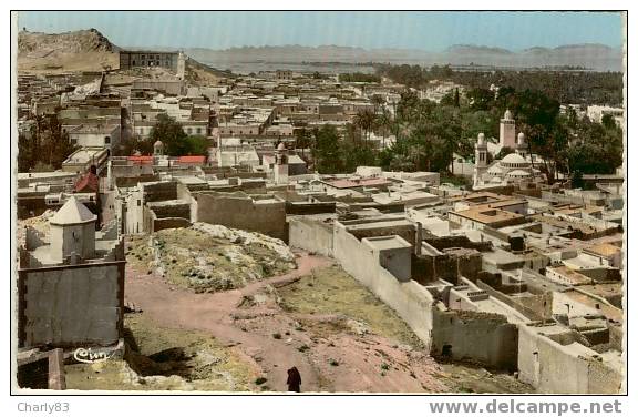 LAGHOUAT - VUE  GENERALE   N86