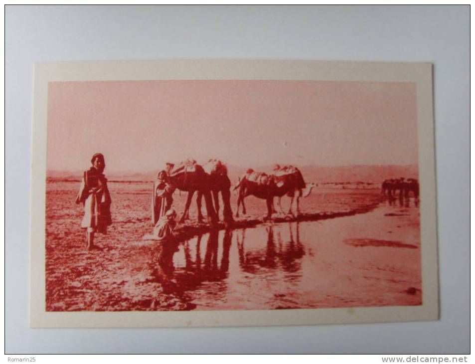 LAGHOUAT - L'OUED M'ZI