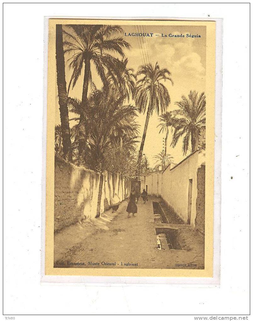 LAGHOUAT_La grande Séguia