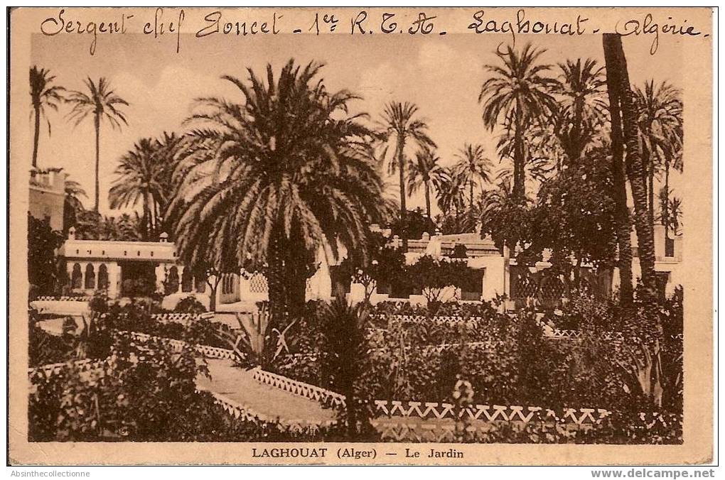 ALGERIE  LAGHOUAT le jardin  - dos écrit