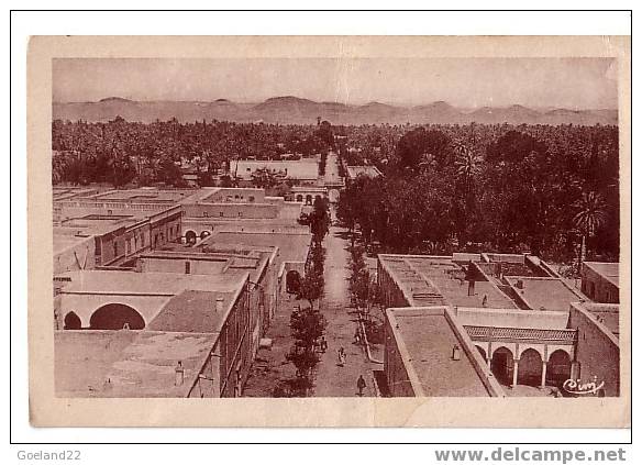 LAGHOUAT - Vue générale Nord - Est