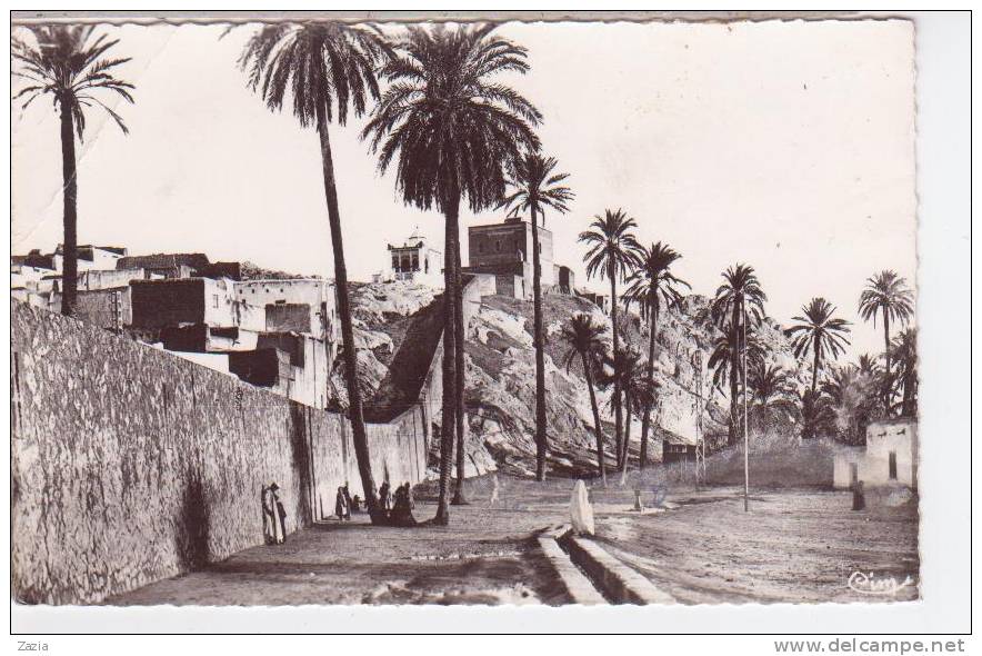 ALG.125/ LAGHOUAT - Marabout de Sidi-Abdel-Kader et Dal'A (cpsm)