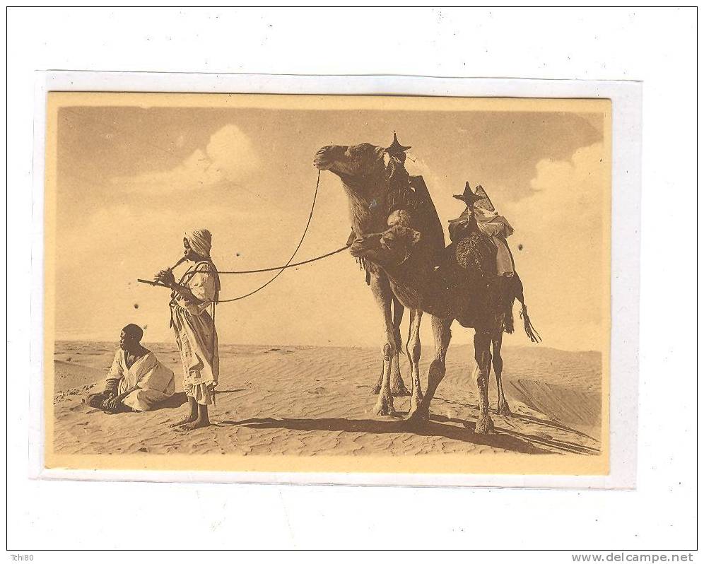 LAGHOUAT_La  musique du désert