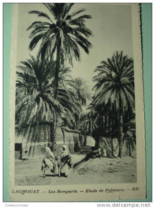8838    ALGERIE  ARGELIA    LAGHOUAT LES REMPARTS  AÑOS / YEARS / ANNI  1920