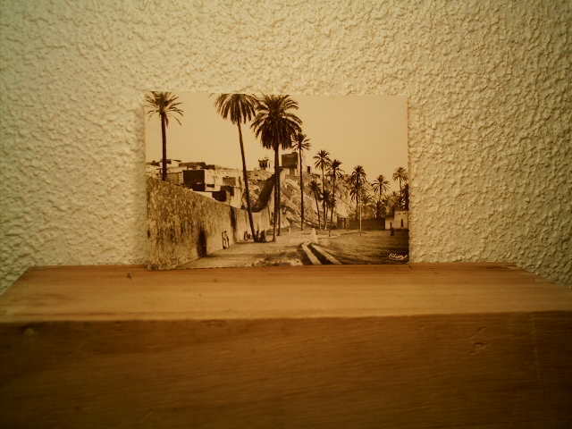 CP SUD ALGERIEN LAGHOUAT MARABOUT DE SIDI ABDEL KADER