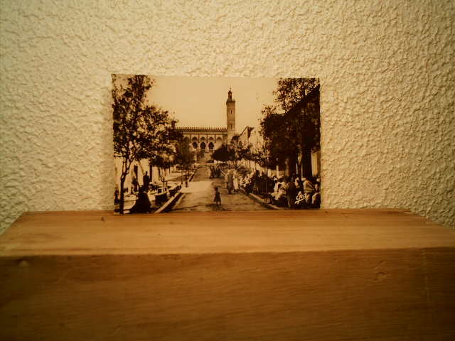 CP SUD ALGERIEN LAGHOUAT LA MOSQUEE