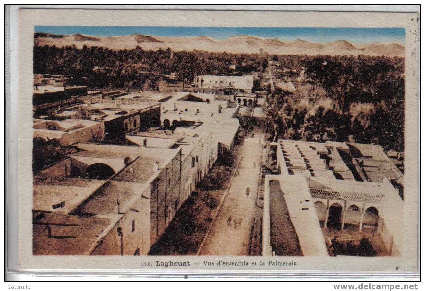 102, LAGHOUAT, Vue d'Ensemble et la Palmeraie