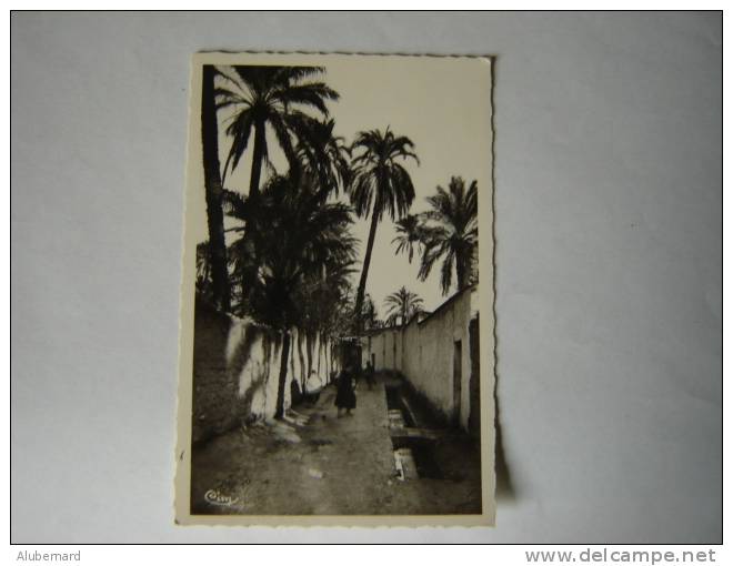 Laghouat. La grande Séguia .c.p.photo 14x9.