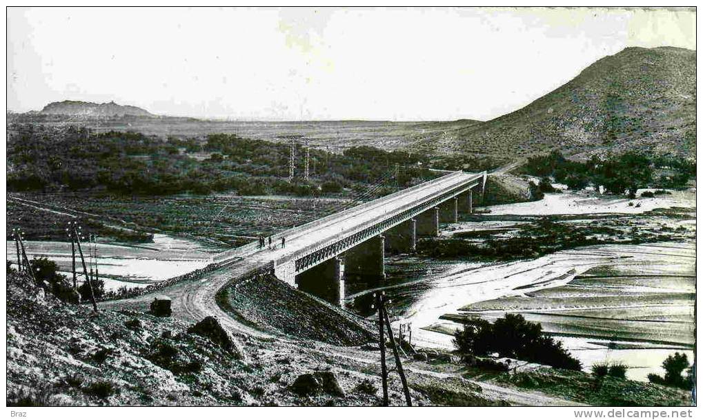 CPSM Laghouat Pont sur l'oued M'Zi