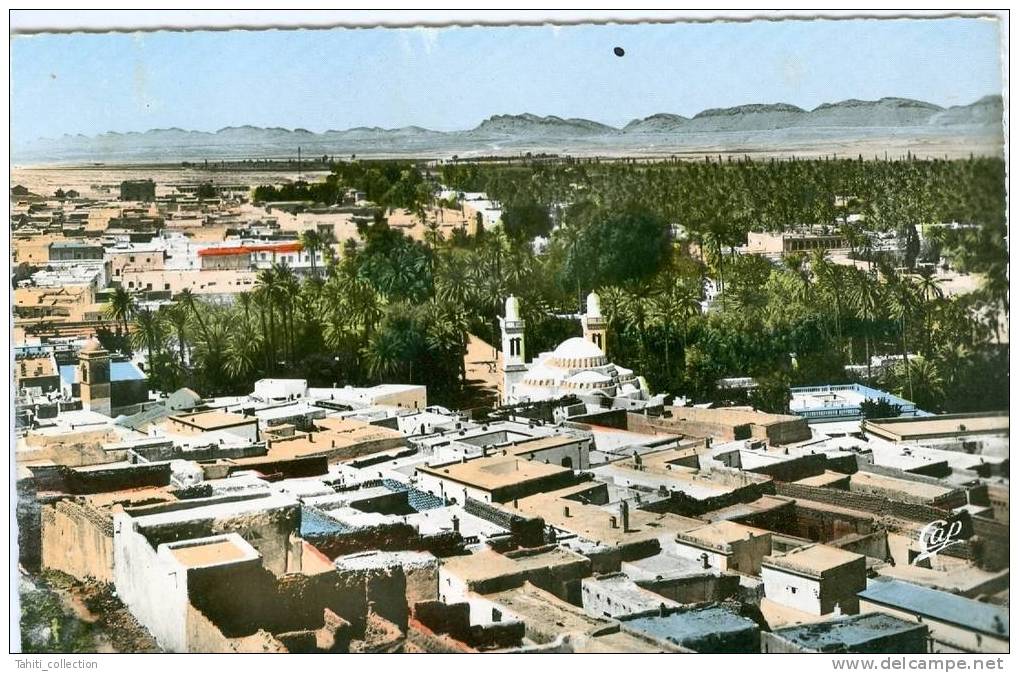 LAGHOUAT - Vue centrale prise du Marabout de Sidi-Abdelkader