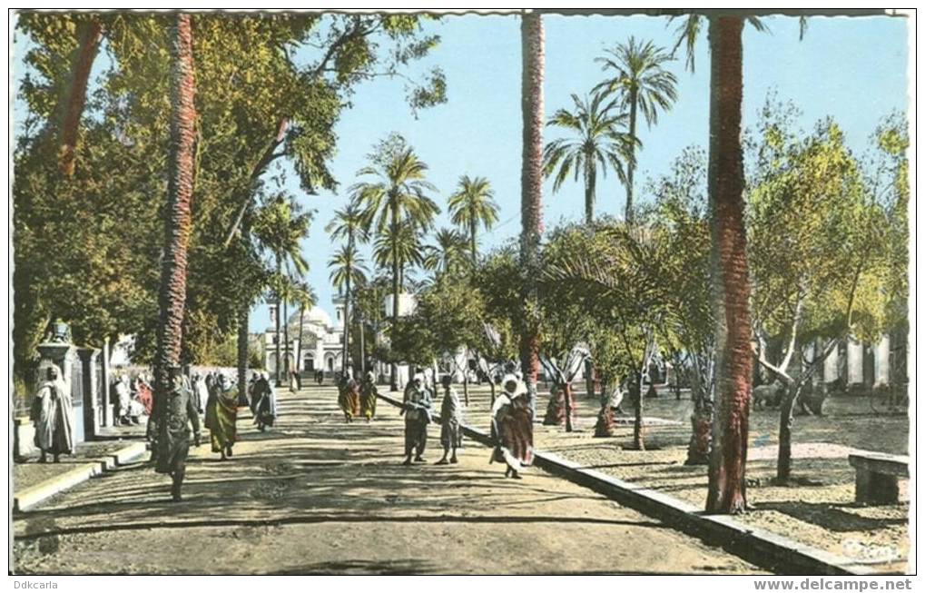 Laghouat (Sud Algérien) - Place de la République