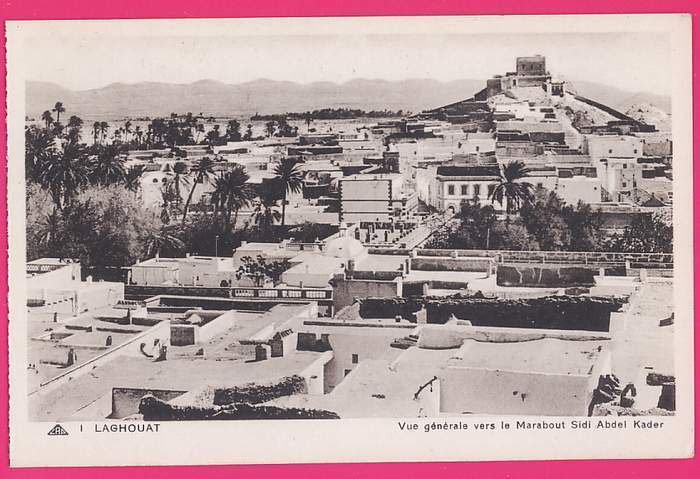 ALGERIE   106   LAGHOUAT  Vue générale vers le Marabout Sidi Abdel Kader