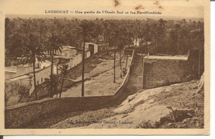 CPA  LAGHOUAT - une partie de l' oasis sud et les fortifications