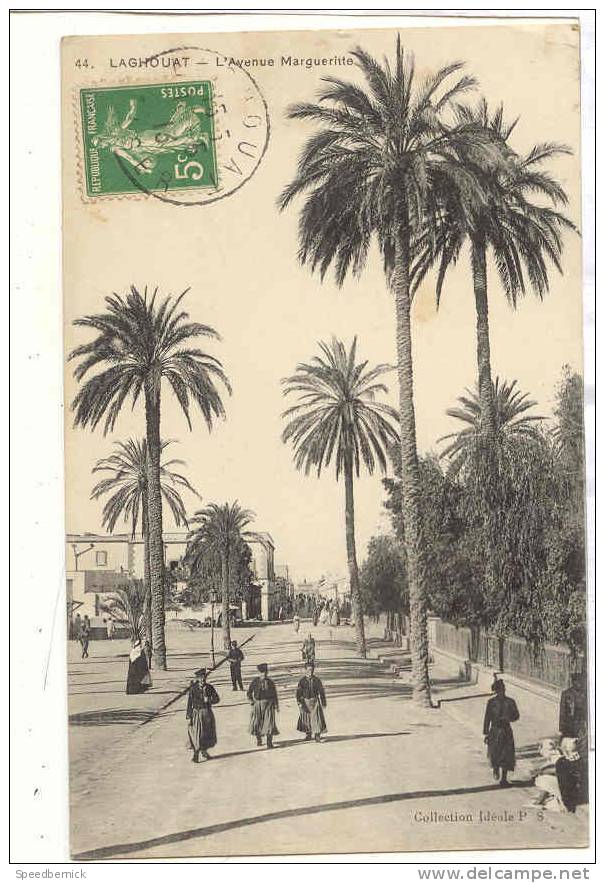12072  LAGHOUAT - L'Avenue Margueritte . Ideale PS .