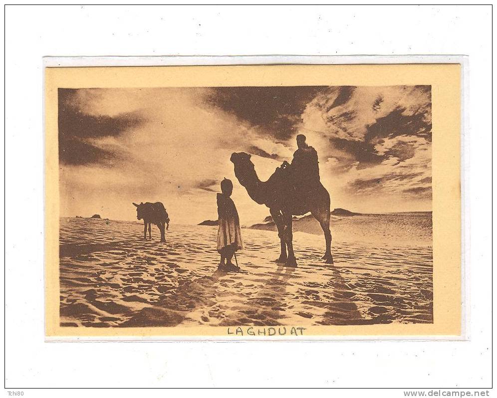 LAGHOUAT_Crépuscule au désert