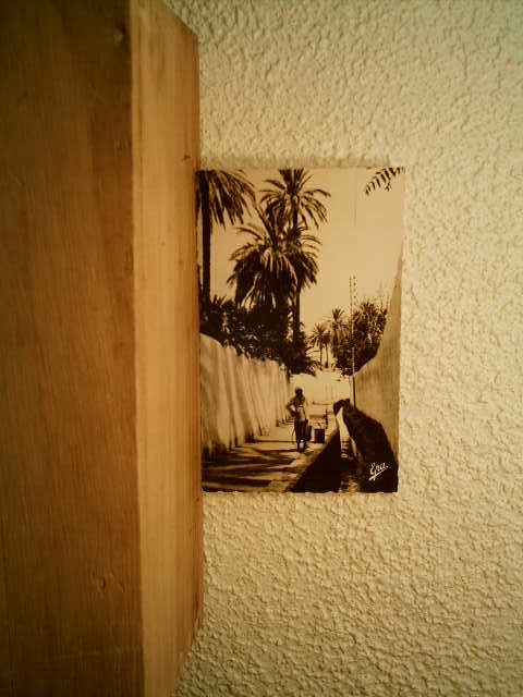 CP SUD ALGERIEN LAGHOUAT LA GRANDE SEGHIA