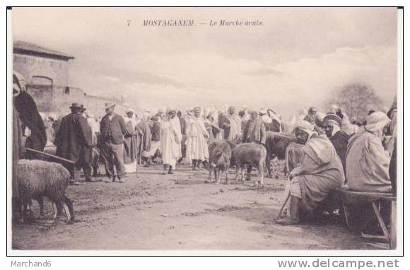 ALGERIE . MOSTAGANEM . LE MARCHE ARABE