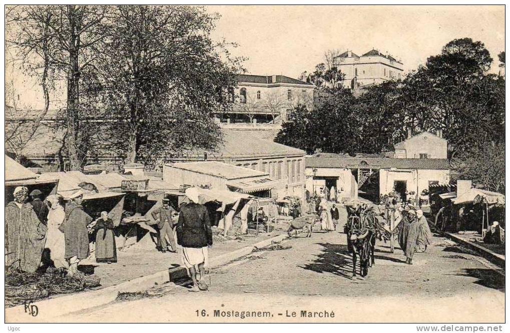 CPA - ALGERIE - MOSTAGANEM - Le Marché - 513