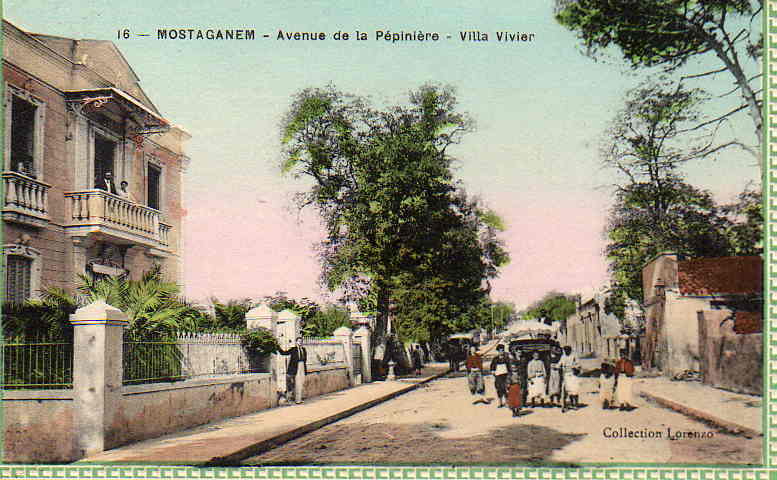 AFRIQUE. ALGERIE. AUTRES VILLES. MOSTAGANEM. Avenue de la Pépinière La Villa Vivier.