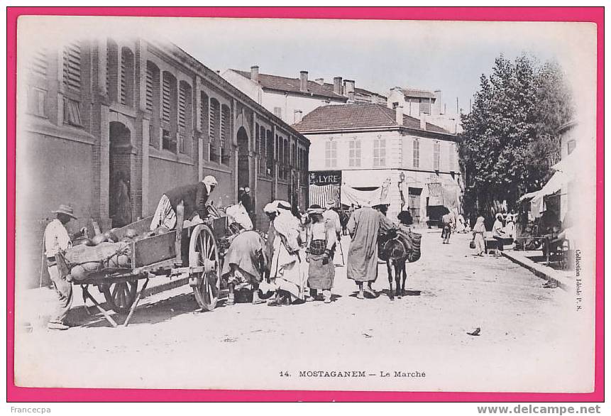ALGERIE 818   MOSTAGANEM -  Le Marché