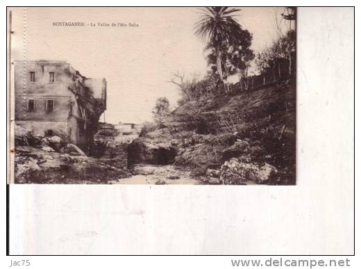 MOSTAGANEM   LA  VALLEE DE  L AIN  SEFRA