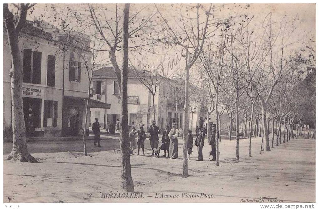 Mostaganem.- (Oran  Algérie)  L' Avenue Victor Hugo  - (belle animation  commerce herboristerie médicinale droguerie)