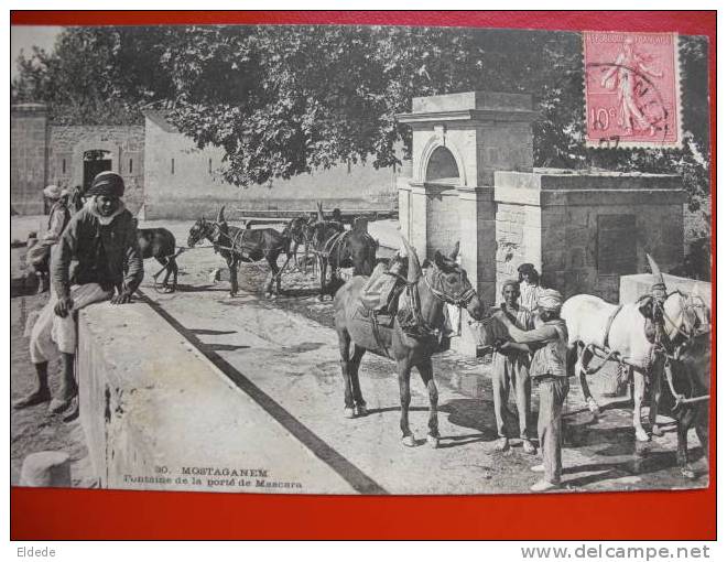 Mostaganem  Fontaine de la place de Mascara Chevaux Mules Abreuvoir