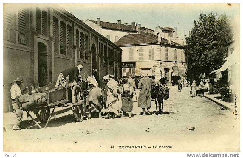 MOSTAGANEM - LE MARCHE
