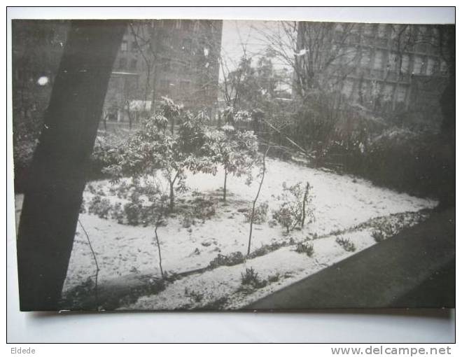 Mostaganem Scene de neige 1 fevrier 1954 dos non carte postale carte photo
