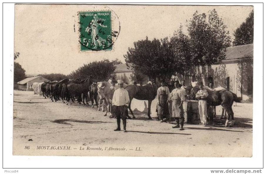 MOSTAGANEM  La remonte, l'abreuvoir .............. Mi156