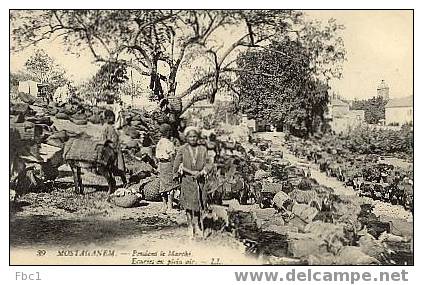 CPA Algérie - Mostaganem - Pendant le marché - Ecuries en plein air (Editeur LL N°39)