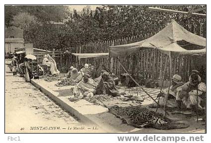 CPA Algérie - Mostaganem - Le Marché (Editeur LL N°40)