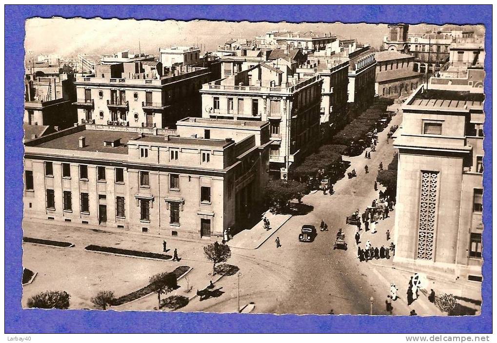 1 cpa mostaganem avenue du de ligne vue generale  -cpl10