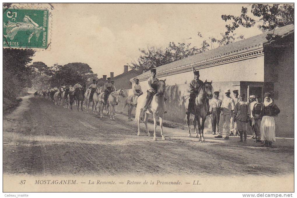 Algérie - Mostaganem (arabe???????) - La Remonte - Retour de la Promenade