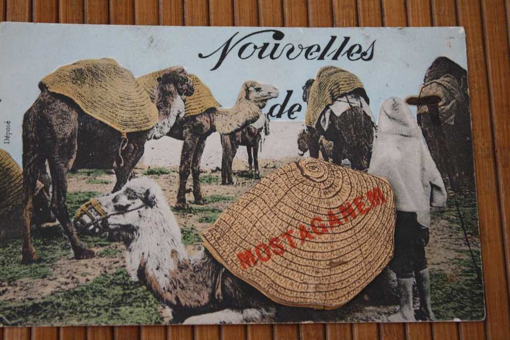 Superbe CPA à SYSTéME   ALGERIE  