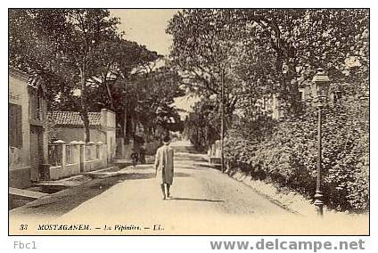 CPA Algérie - Mostaganem - La pépinière (Editeur LL N°33)