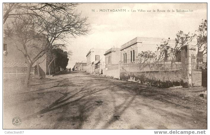 ALGERIE - MOSTAGANEM - LES VILLAS de la ROUTE de SALAMANDRE - Edition ANCRE 56