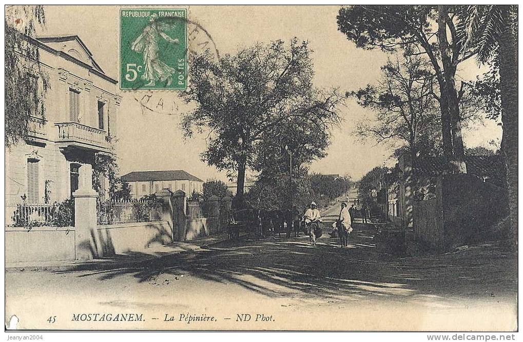 CPA Mostaganem Algérie La Pépinière