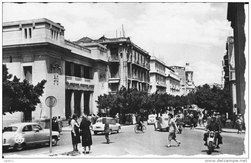 43  MOSTAGANEM    -  L´Avenue 1er de Ligne