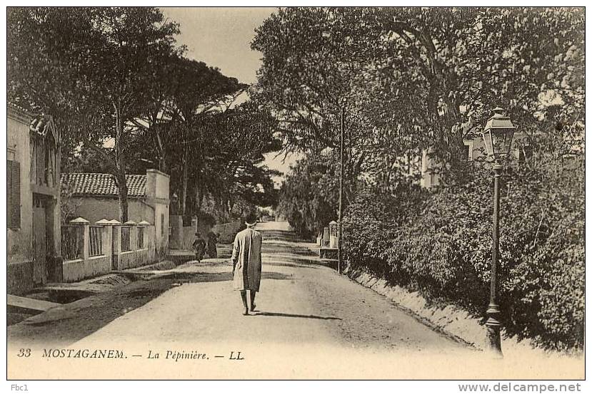 CPA - Algérie - Mostaganem - La Pépinière (LL N°33)