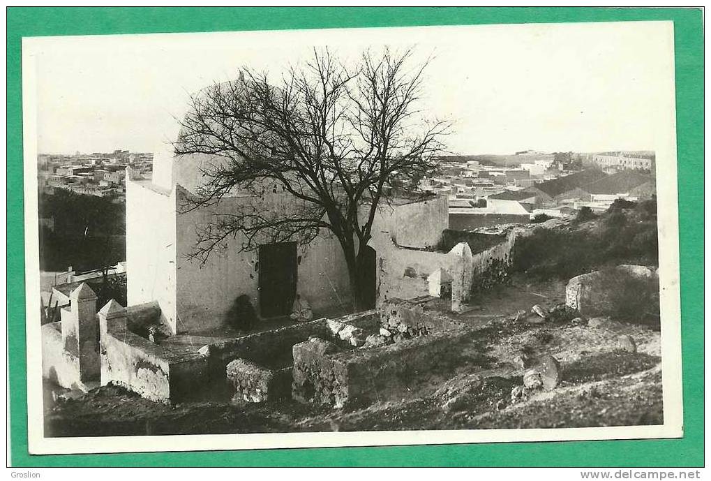 MOSTAGANEM N° 16 VUE DE TIDJDIT