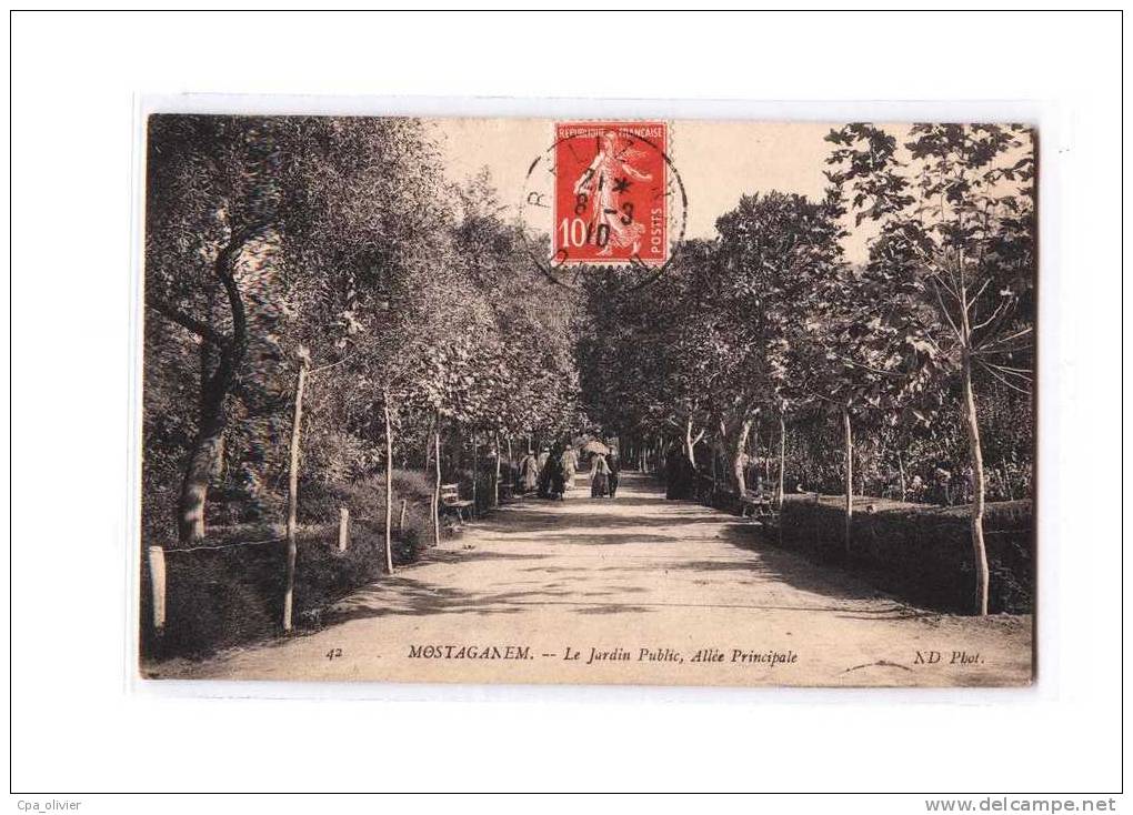 ALGERIE Mostaganem Jardin Public, Allée Principale, ed ND 42, 1910