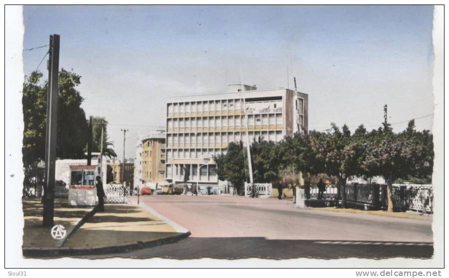 CPSM1950/55 MOSTAGANEM  L AVENUE ANATOLE FRANCE  ET HOTEL DES FINANCES
