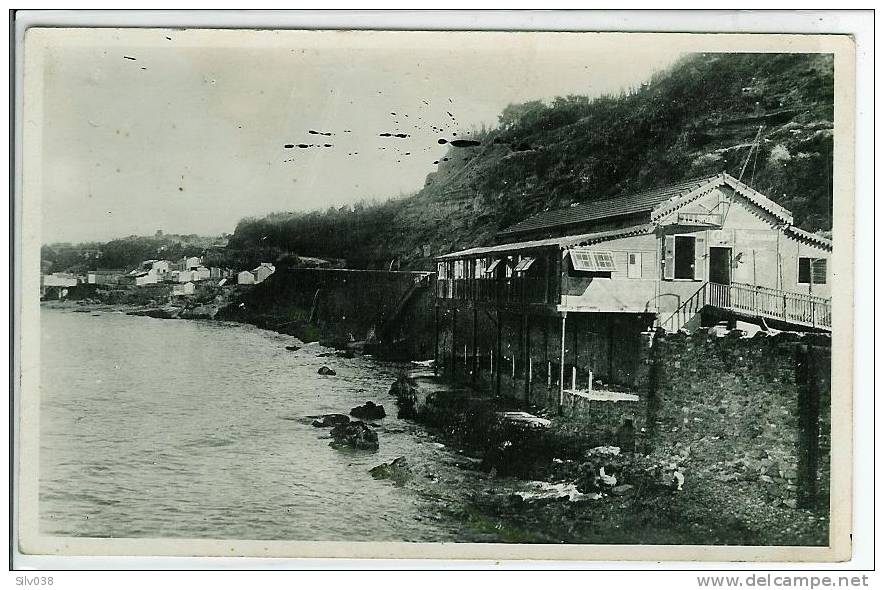 MOSTAGANEM-LA SIRENE