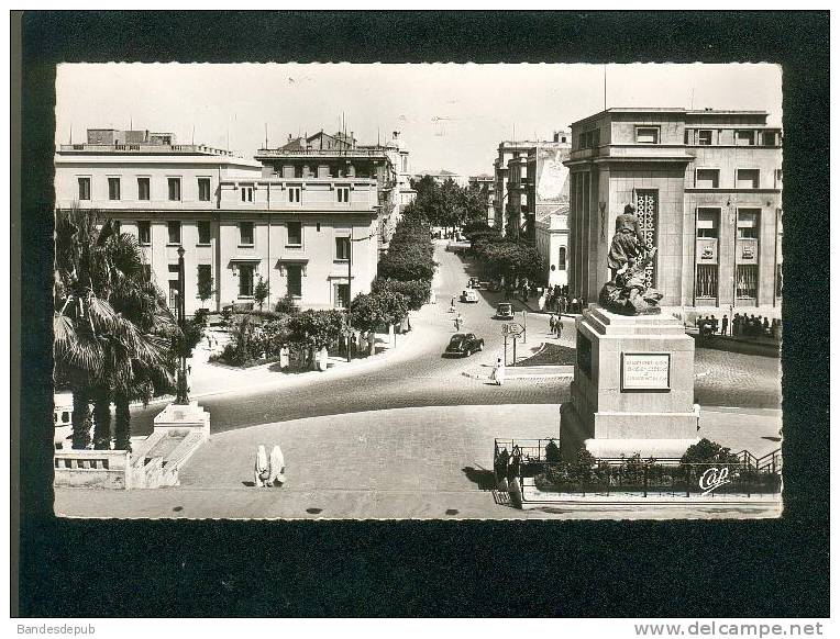 CPSM - Algérie - MOSTAGANEM - L' avenue du 1er de Ligne ( CAP 1562 format CPA)