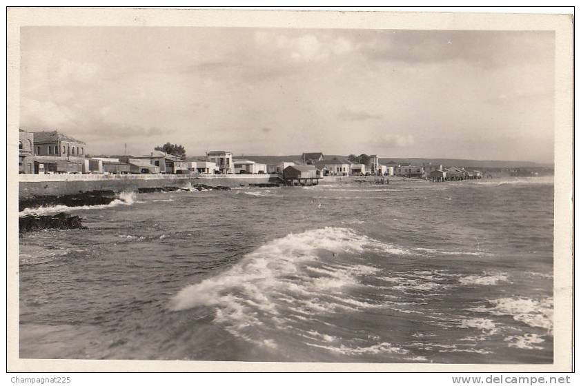 CPSM ALGERIE Oranie MOSTAGANEM Vue sur la Salamandre 1959