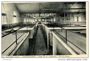 MOSTAGANEM  Cave NASTORG Frères - Cave  No 2 - Logement - Vue de dessus ( défaut coté gauche - mal arrachée du carnet )