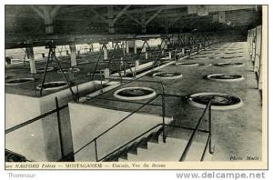 MOSTAGANEM  Cave NASTORG Frères - Cuverie,Vue du dessus - ( défaut côté gauche - mal détachée du carnet )